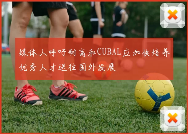 媒体人呼吁耐高和CUBAL应加快培养优秀人才送往国外发展