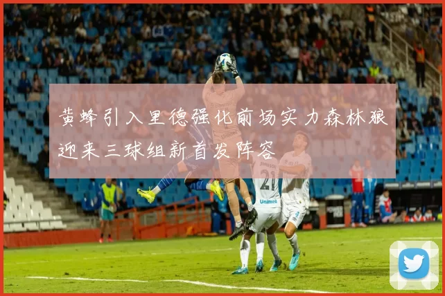 黄蜂引入里德强化前场实力森林狼迎来三球组新首发阵容